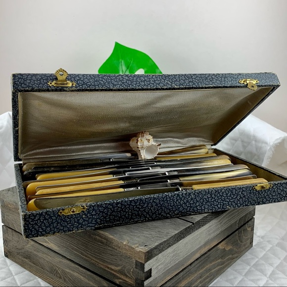 VINTAGE BUTTERKNIFE SET W/CASE BONE LIKE HANDLES - Picture 5 of 11